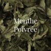 Menthe poivrée bio