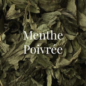 Menthe poivrée bio