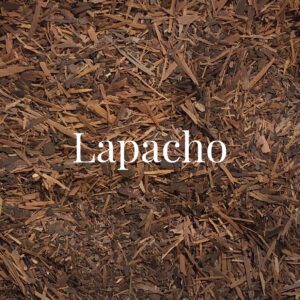 Lapacho