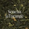 Sencha à l'orange bio