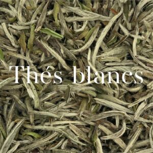 Thés blancs