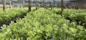 Capture d’écran 2022-10-16 à 21.58.57