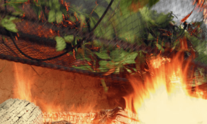 Capture d’écran 2022-10-16 à 22.30.52